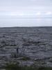 IMG 0723