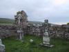 IMG 0729