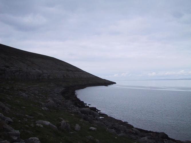 IMG 0719