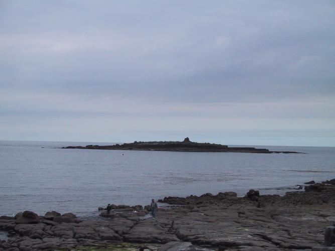 IMG 0730