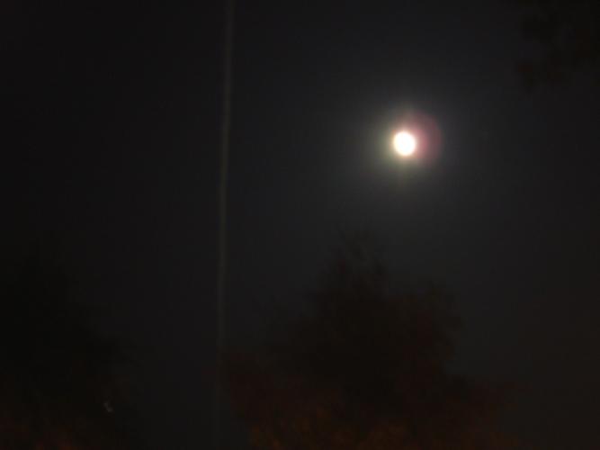 DSCF0150