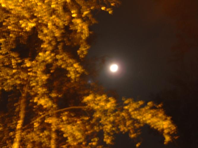 DSCF0151