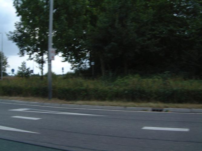 DSCF1681