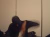 DSCF0227