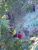TN DSCF0403