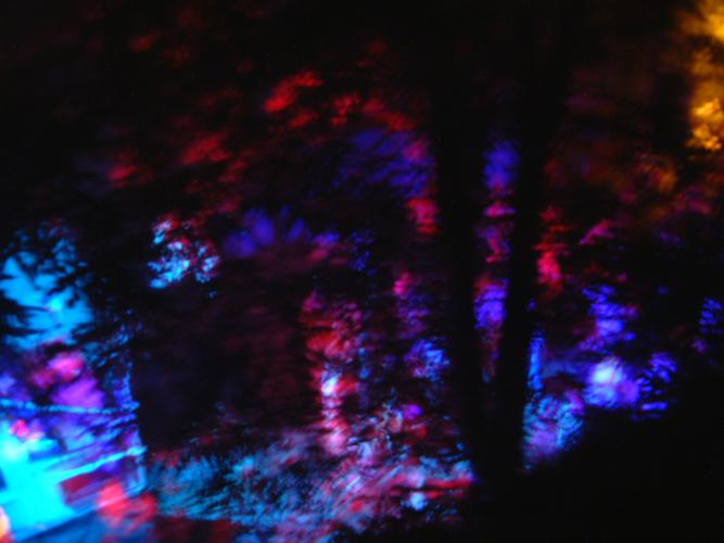 DSCF0451