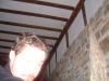 DSCF0720