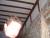 DSCF0720