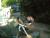DSCF0356