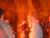 DSCF0031