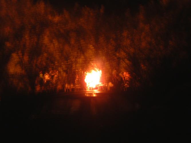 DSCF0001