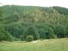 DSCF0265