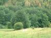 DSCF0266
