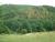 DSCF0265