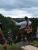 DSCF0283