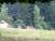 DSCF0324