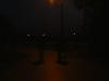 DSCF1728