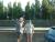 DSCF0397