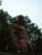 DSCF1739