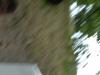 DSCF0354
