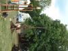 DSCF0358
