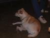 DSCF0384