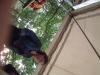 DSCF0387