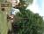 DSCF0358