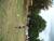 DSCF0359