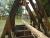 DSCF0366