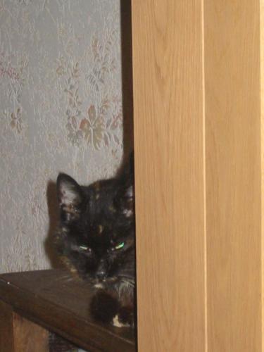 IMG 0029