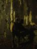 DSCF0960
