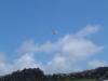 DSCF0194