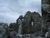 DSCF0229