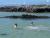 DSCF0198