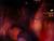 TN S5301688
