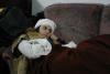 IMG 3522 resize