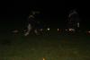 IMG 4096 resize