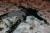 IMG 3399 resize