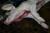 IMG 3414 resize