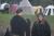 IMG 3468 resize