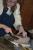 IMG 3562 resize
