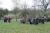 IMG 3852 resize