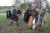 IMG 3947 resize