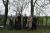 IMG 3970 resize