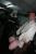 IMG 4055 resize