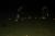 IMG 4096 resize