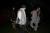 IMG 4126 resize
