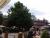 DSCF0739