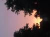 DSCF0607